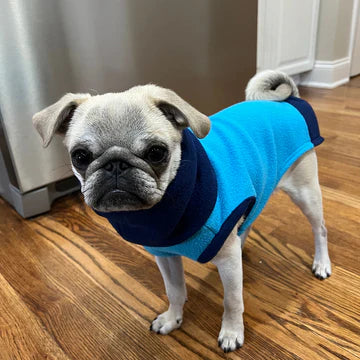 Two Tone Blue Longneck Sweater