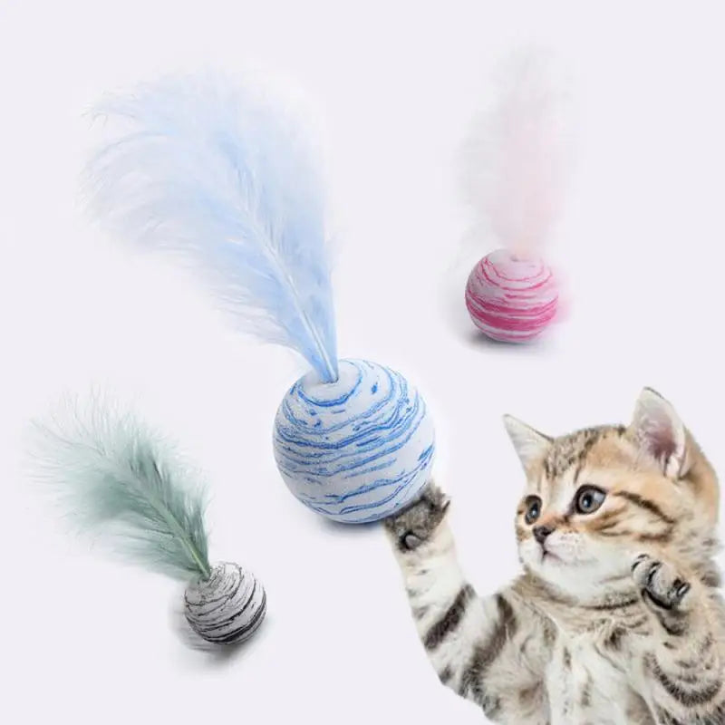 Pet Toys