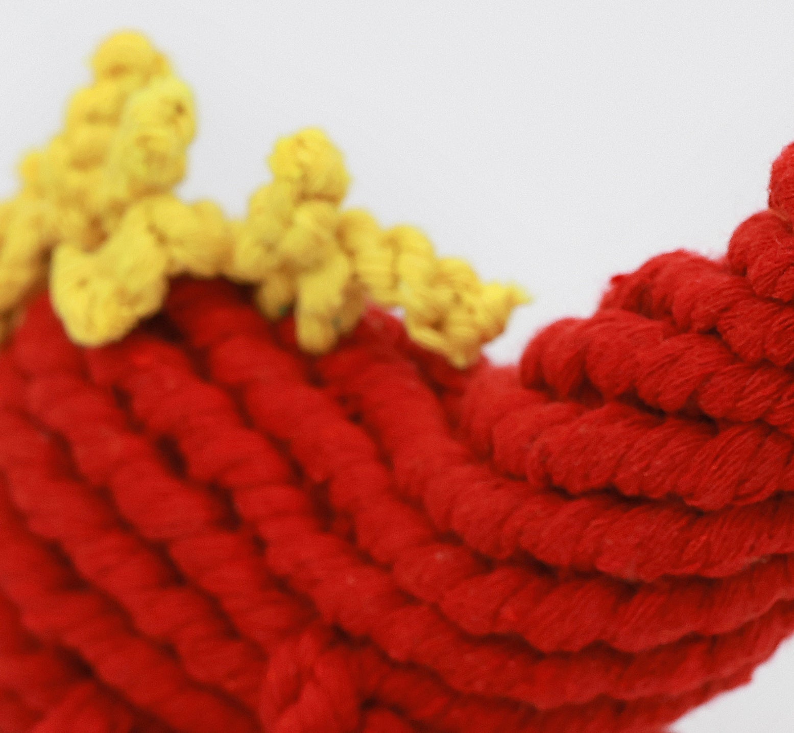 Ruby the Red Dinosaur Rope Toy-3