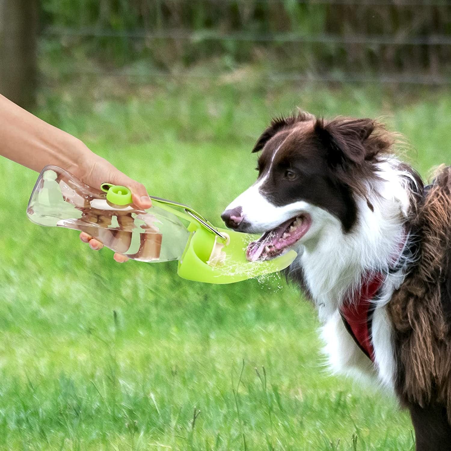 Pet Pack Essentials