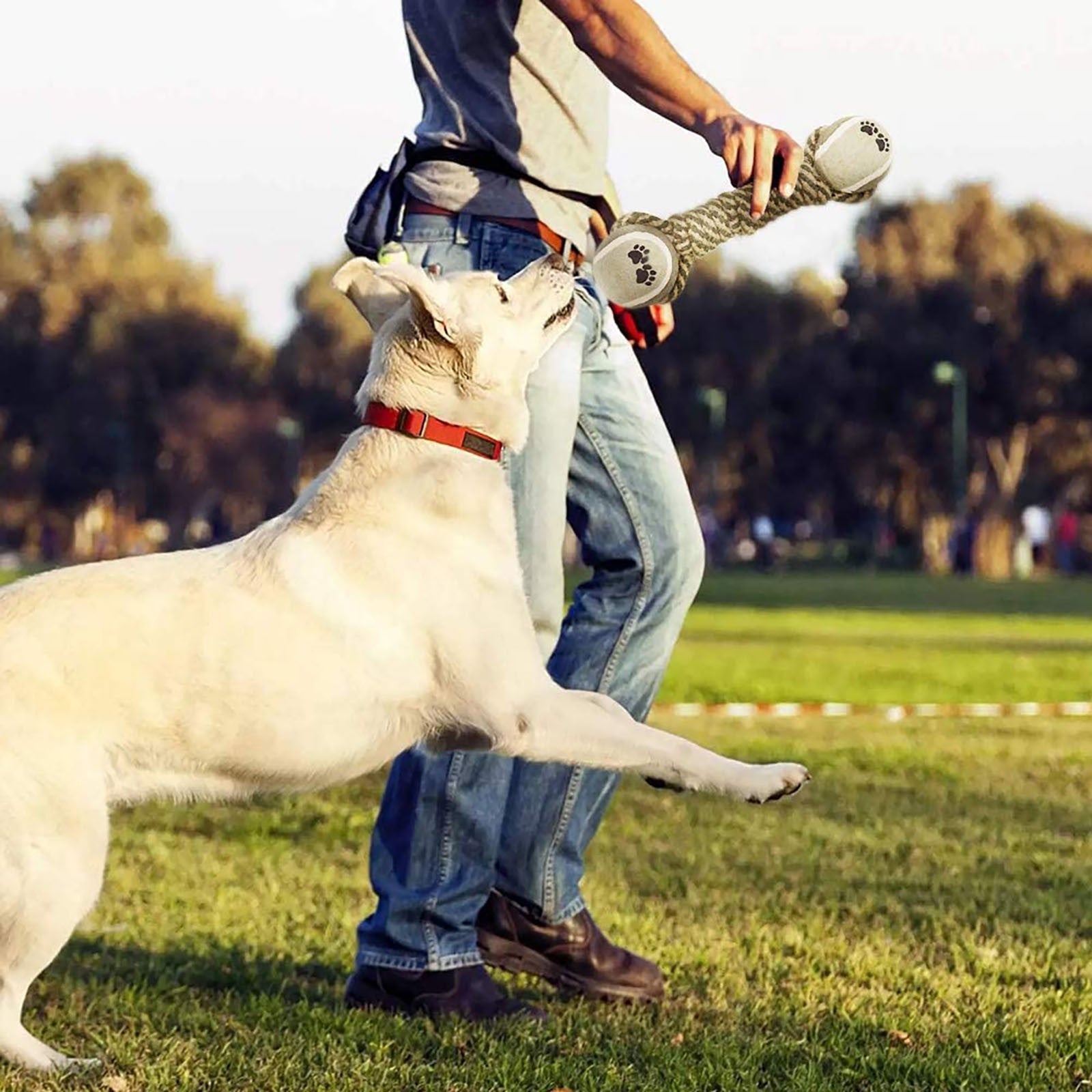 Pet Pack Essentials