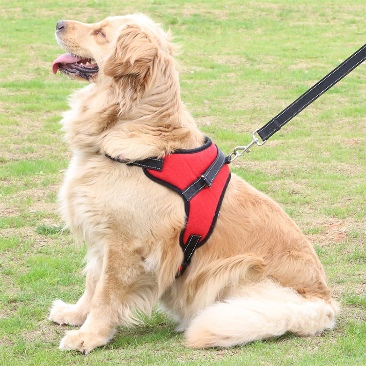 Adjustable Pet Harness-1