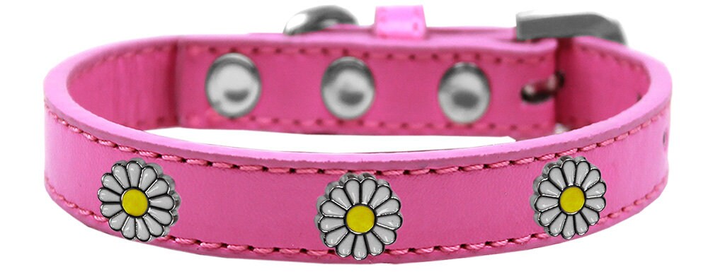 Dog, Puppy and Pet Widget Fashion Collar, 