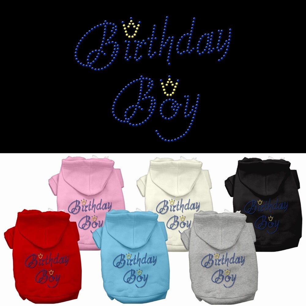 Birthday Pet Dog & Cat Hoodie Rhinestone, 